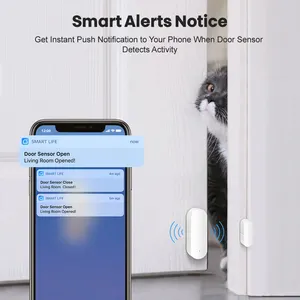 RSH Tuya Wifi Intelligenter Fenster detektor Dicke Tür sicherheit Smart Life Kontakts ensoren Alexa Google Wifi Tür sensor