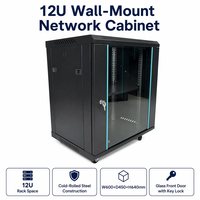 Armoire réseau 12U 19 pouces en acier laminé à froid, rack de serveur mural, boîtier pour équipement de données, fabrication OEM personnalisée