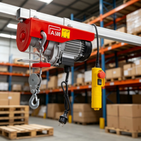 Mini palan électrique à protection contre les surcharges, coque en acier, chaîne en acier, capacité de levage 1000 kg/500 kg, 110 V-240 V, pour garage