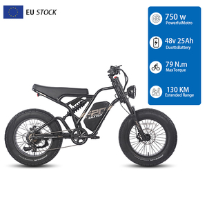 Vélo électrique EU Fafrees F20 ULTRA EBIKE, style motocross au profil bas, moteur brushless 750W, propulsion arrière, haute puissance, longue autonomie - Product Image 1