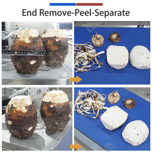 Ananas Soyma, Öz Çıkarma, Baş ve Kuyruk Kesme, Ayırma Makinesi, Konveyörlü Otomatik Ananas Soyma Makinesi - Product Image 3