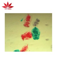 Factory Individual Rotifers W.m. Prepared Microscope Slide for Biological Lab Equipment