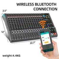 Nueva Consola de Audio Profesional PA16 de 16 Canales, Mezclador de Audio USB con Alimentación Phantom de 48V, Controlador de Metal Negro y Plástico para Interiores/Exteriores