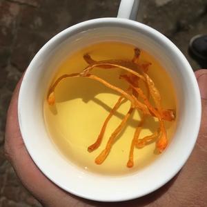 <span class=keywords><strong>Hongos</strong></span> herbales micológicos 3A al por mayor, Cordyceps Militaris amarillo Natural, flor pura <span class=keywords><strong>de</strong></span> hongo, materia prima <span class=keywords><strong>de</strong></span> grado alimenticio - Product Image 4