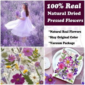Fleurs séchées naturelles violettes, lot de 35 pièces pour la fabrication de bougies, la décoration de savons, les loisirs créatifs, le scrapbooking et la création de cartes - Product Image 3
