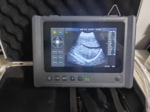 Scanner à ultrasons vétérinaire échographie à ultrasons sans fil sonar vétérinaire A8 machine à ultrasons vétérinaire portable pour animaux de compagnie - Product Image 3