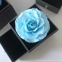 Coffret de bijoux avec rose éternelle, collier et boucles d'oreilles en forme de cœur, romantique et éternel, pour la Saint-Valentin, la remise des diplômes, l'anniversaire