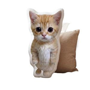 Cojines para sofá, respaldos, almohadas de felpa con forma de gato de dibujos animados, regalos de cumpleaños, peluches para mesita de noche con estampados japoneses y coreanos - Product Image 5
