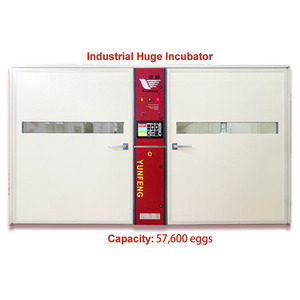 Yunfeng lồng ấp 115200/76800/57600/38400/19200 pcs Công suất duy nhất giai đoạn tự động Máy ấp trứng Máy Ấp Trứng gia cầm trang trại - Product Image 2