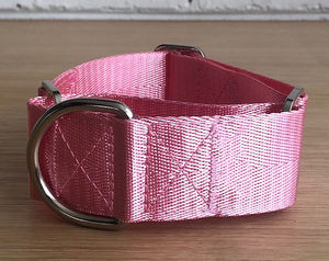 कस्टम लोगो collares <span class=keywords><strong>martingale</strong></span> perros टिकाऊ नायलॉन <span class=keywords><strong>2</strong></span> इंच चौड़ाई बड़े <span class=keywords><strong>martingale</strong></span> कुत्ते कॉलर के लिए ग्रेहाउंड - Product Image 5