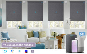 प्यूफिके पूर्ण रंगों मोटर चालित कॉर्लेस स्प्रिंग सिस्टम रोलर अंधा वसंत के लिए रोलर अंधा - Product Image 6