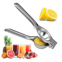 Presse-agrumes manuel en acier inoxydable pour citrons et fruits, presse-citron portable pour cuisine et bar