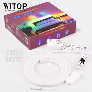 Personalizado de fábrica Flexible Ws2811 Rgb Tuya App Control de voz inteligente 24V Silicona Flex Led Tubo de neón Tira de luces traje