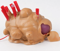 Modelo de Entrenamiento Laparoscópico para Fibroides Uterinos, Simulador de Resección de Histeromioomas de Silicona para Entrenamiento en Cirugía Ginecológica
