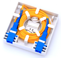Boîtier terminal fibre optique mural intérieur mini 2 ports FTTH