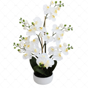 زجاجة أوركيد فنية فاخرة ذهبية نبات أوركيد صناعي أبيض ترتيب ذهبي بالزهور البيضاء - Product Image 1