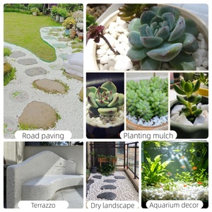 Galets de pierre blancs purs pour la décoration de jardin et l'aménagement paysager DIY, et l'embellissement des cours - Product Image 4