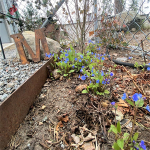 Clôture en bois massif de jardin, <span class=keywords><strong>bordure</strong></span> de pelouse, clôture en <span class=keywords><strong>acier</strong></span> - Product Image 3