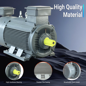 <span class=keywords><strong>Moteur</strong></span> spécial à <span class=keywords><strong>rotor</strong></span> enroulé 525V 720RPM 185KW Moteurs à induction triphasés - Product Image 3