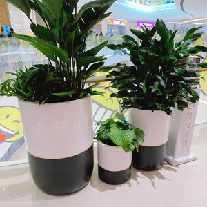 Maceta Circular de Fibra de Vidrio, Moderna y Minimalista, para Interiores, Centros Comerciales, Decoración con Plantas Verdes - Product Image 4