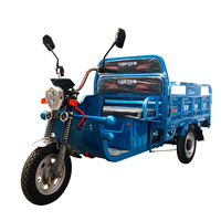 Tricycle Listrik Ukuran Dapat Disesuaikan 1000W dengan Kotak Kargo untuk Penggunaan Pertanian