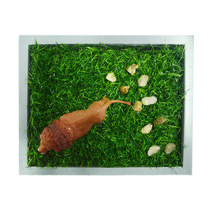 Personnalisé Animal Mini <span class=keywords><strong>Zen</strong></span> <span class=keywords><strong>Jardin</strong></span> plantes Original Nature Cadeau Table Artisanat Cadeau De Noël Décor À La Maison - Product Image 2