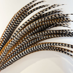 Plumes de queue de faisan Reeves Venery de 100-110 cm, plumes décoratives pour costume de carnaval, décoration de scène de mariage, fête - Product Image 4