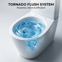 WC monobloc en céramique de style européen CE, à chasse d'eau Tornado, sur pied, personnalisable OEM, articles sanitaires en gros