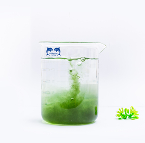 <span class=keywords><strong>Engrais</strong></span> Liquide Organique OEM <span class=keywords><strong>pour</strong></span> l'Enracinement des Pommes <span class=keywords><strong>de</strong></span> <span class=keywords><strong>Terre</strong></span>, Améliore le Système Racinaire et la Vitalité des Cultures - Product Image 4