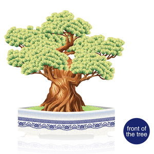 Thủ công mỹ nghệ điêu khắc giấy bàn cây cảnh 3D, hoa lan bật lên, cây cam sáng tạo, quà tặng chúc phúc ngày lễ, thiệp chúc mừng - Product Image 5