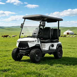 Carrito de Golf Eléctrico con Suspensión de Doble Horquilla, Ahorro de Energía, Todoterreno, para Uso en Carreteras No Públicas, con Certificación DOT, CE y EEC - Product Image 1