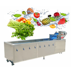 Otomatik ozon jeneratörü meyve sebze temizleme makinesi makineleri yeni Motor pompası rulman Motor su sebze yıkama ekipmanları - Product Image 6