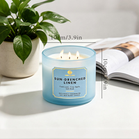 Bougie parfumée de luxe en gros à 3 mèches, mélange de soja, dans un bocal en verre dépoli coloré, pour aromathérapie, bougie d'intérieur, étiquette privée personnalisée