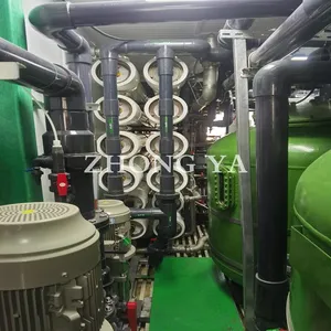 Système de dessalement d'eau de mer RO conteneurisé Machine de dessalement potable/eau de mer