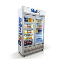 Réfrigérateur commercial vertical à double porte vitrée avec éclairage LED pour boissons, idéal pour les cafés