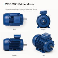 Moteur asynchrone monophasé WEG W21 Prime B3 à châssis en aluminium, monté sur pied, TEFC IC411 IP55 pour systèmes de convoyage, pour OEM général