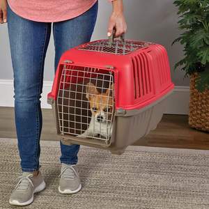 Cage de voyage de voiture de chien en plastique extérieure approuvée par compagnie aérienne portative/cage de transport d'animal familier de <span class=keywords><strong>chat</strong></span> bon marché - Product Image 3