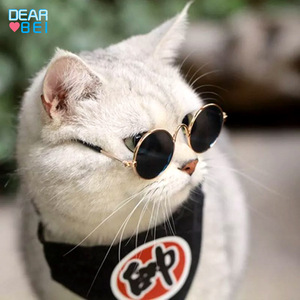 Очки для домашних животных с классическим рисунком - Product Image 3