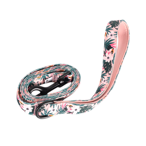 Conjunto de Dos Piezas de Correa para Mascotas de Alta Calidad, Estilo Chaleco de Cuero para Perros, Cómodo, Duradero y Transpirable, Correa de Nailon - Product Image 3