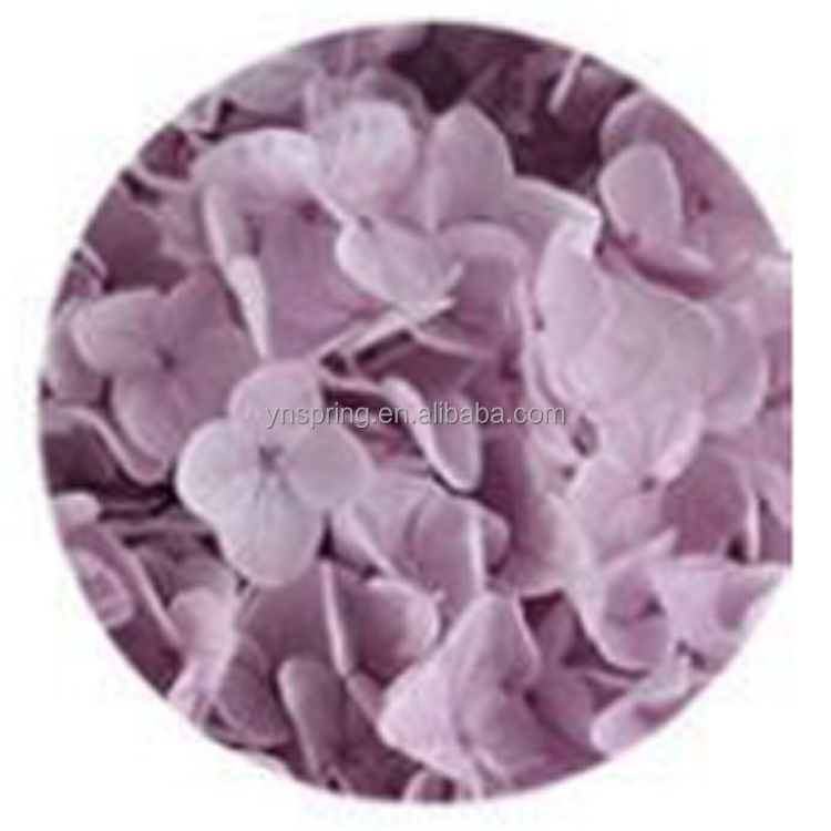 Lavanda