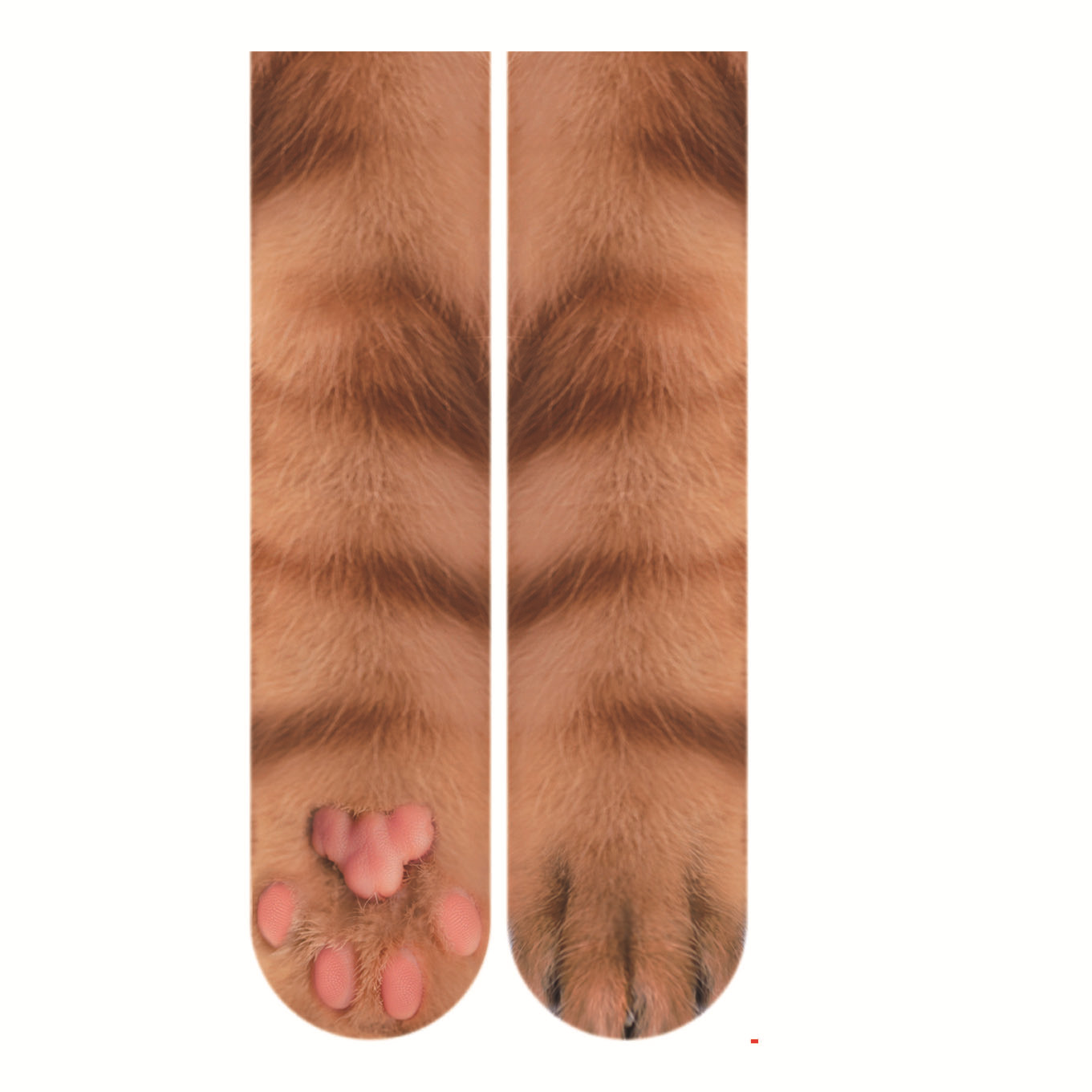 Chat fleur brune