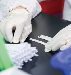 Yeşil Bahar LSY-20103 Antibiyotik BTS Test Kiti Beta-laktamlar Tetraksiklinler Sulfonamidler 3'ü 1 Arada Süt Güvenliği için Hızlı Test Şeridi - Product Image 5