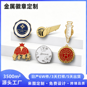 Shengwang - Insignias Personalizadas de Metal para Solapa, Esmalte de Aleación de Zinc, Regalos Empresariales, Insignias con Logotipo Corporativo, Diseño en Relieve 3D - Product Image 4