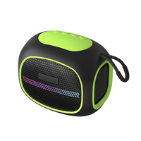 Haut-parleur sans fil portable OEM avec lumières LED RGB, batterie, cordon de transport, BT 5.3 pour la maison, les fêtes, le camping en plein air