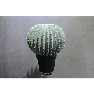 Nhân Tạo Cây Xương Rồng Nhựa <span class=keywords><strong>Bonsai</strong></span> Cây Xương Rồng Bóng Cho Các Loại Khác Nhau Của Trang Trí - Product Image 6