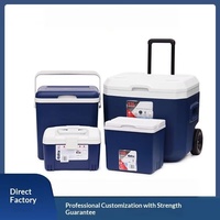Glacière isotherme en plastique portable pour camping et pique-niques, revêtement PU, garde les aliments au frais et au chaud, 6L-65L, avec blocs réfrigérants réutilisables