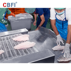 Iqf xoắn ốc Tủ đông đông lạnh số lượng lớn cá tuyết phi lê cá nhân nhanh chóng đông lạnh công nghệ - Product Image 2