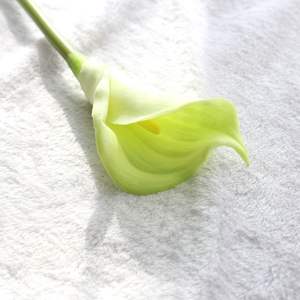 زهرة زيبق كاللا أسترالية اصطناعية ذات ساق فردية من البولي يوريثان للبيع بالجملة في 2024 بلمسة حقيقية - Product Image 2