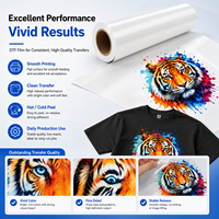 Film de transfert DTF pour animaux de compagnie, lavable et durable, pour imprimante Epson XP600 I3200, pour impression thermique sur T-shirts et vêtements, approvisionnement en gros