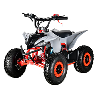 Nouvelle moto à quatre roues à transmission automatique par chaîne, moteur à essence 4x2, quad 125cc pour enfants et adolescents CHI YE